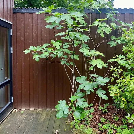 70s-style Summer House Near *