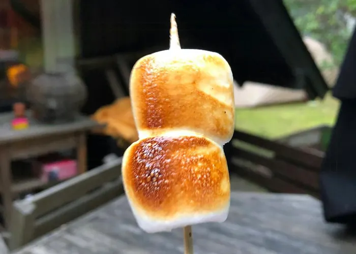 70s-style Summer House Near Odder