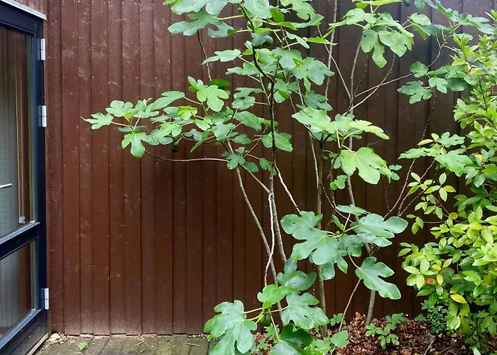 70s-style Summer House Near *